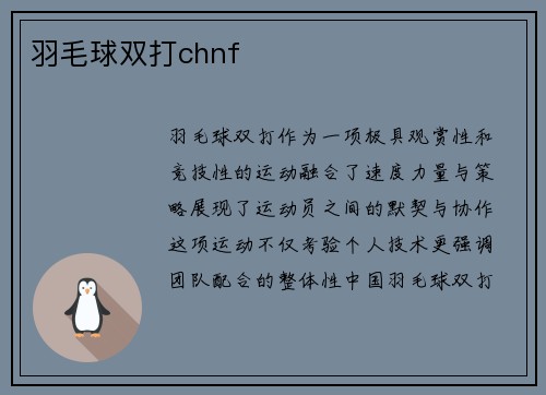 羽毛球双打chnf